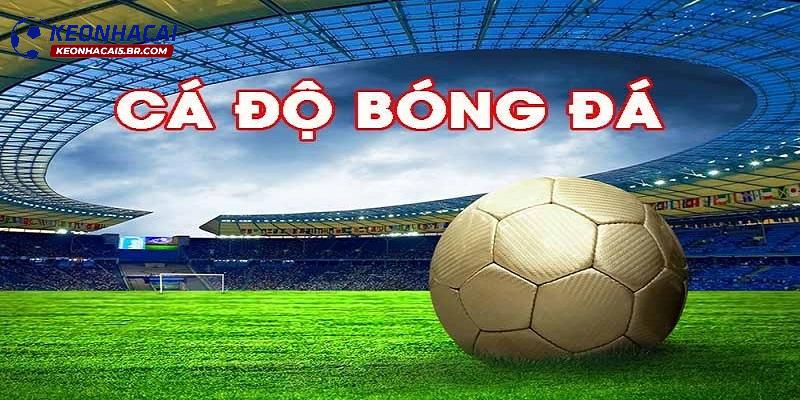 Giới thiệu về nhà cái cá độ bóng đá