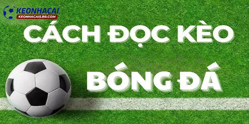 Hướng dẫn cách đọc kèo chấp nửa trái Hướng dẫn cách đọc kèo chấp nửa trái